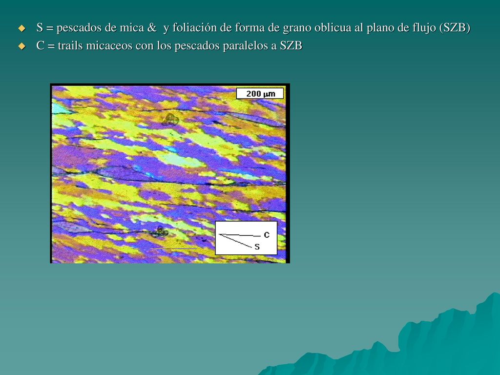 S = pescados de mica & y foliación de forma de grano oblicua al plano de flujo (SZB)