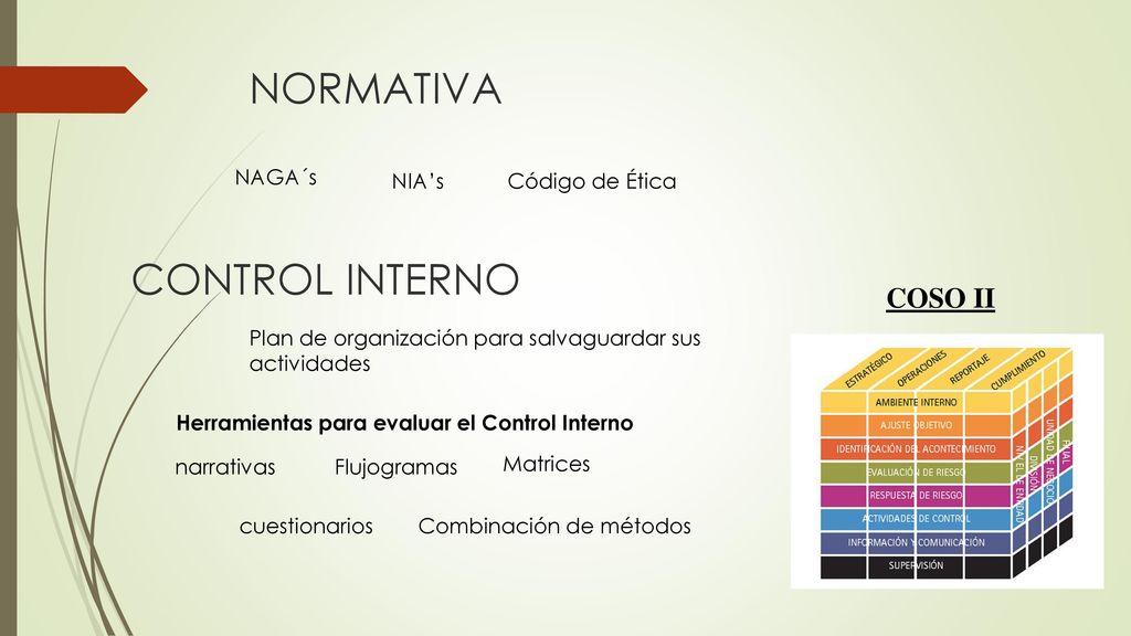 NORMATIVA CONTROL INTERNO COSO II NAGA´s NIA’s Código de Ética