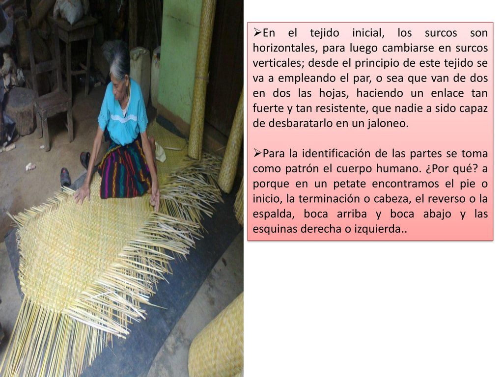 En el tejido inicial, los surcos son horizontales, para luego cambiarse en surcos verticales; desde el principio de este tejido se va a empleando el par, o sea que van de dos en dos las hojas, haciendo un enlace tan fuerte y tan resistente, que nadie a sido capaz de desbaratarlo en un jaloneo.