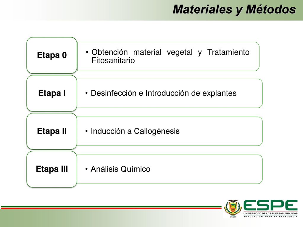 Materiales y Métodos Etapa 0 Etapa I Etapa II Etapa III