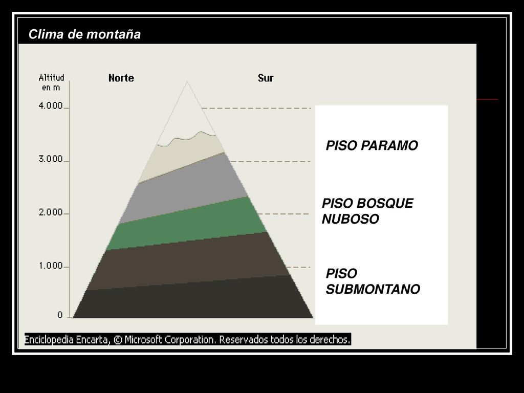 Clima de montaña PISO PARAMO PISO BOSQUE NUBOSO PISO SUBMONTANO