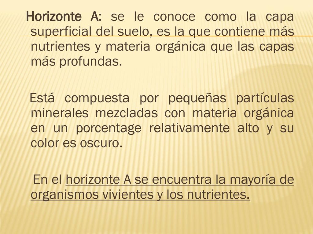 Horizonte A: se le conoce como la capa superficial del suelo, es la que contiene más nutrientes y materia orgánica que las capas más profundas.