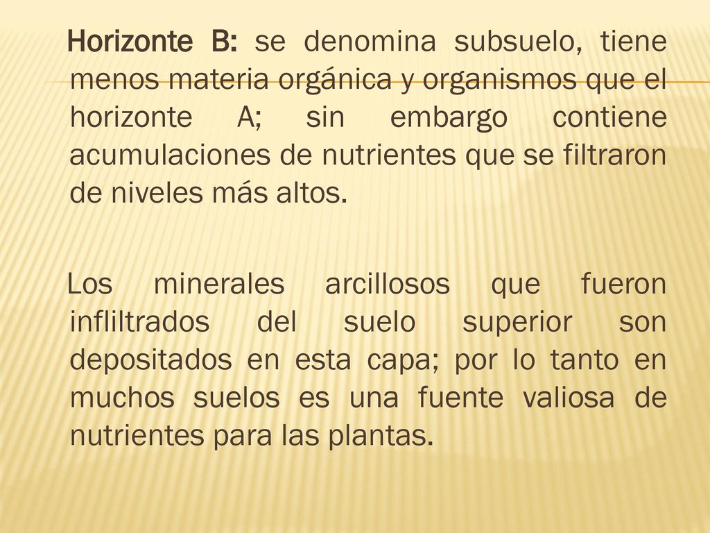 Horizonte B: se denomina subsuelo, tiene menos materia orgánica y organismos que el horizonte A; sin embargo contiene acumulaciones de nutrientes que se filtraron de niveles más altos.