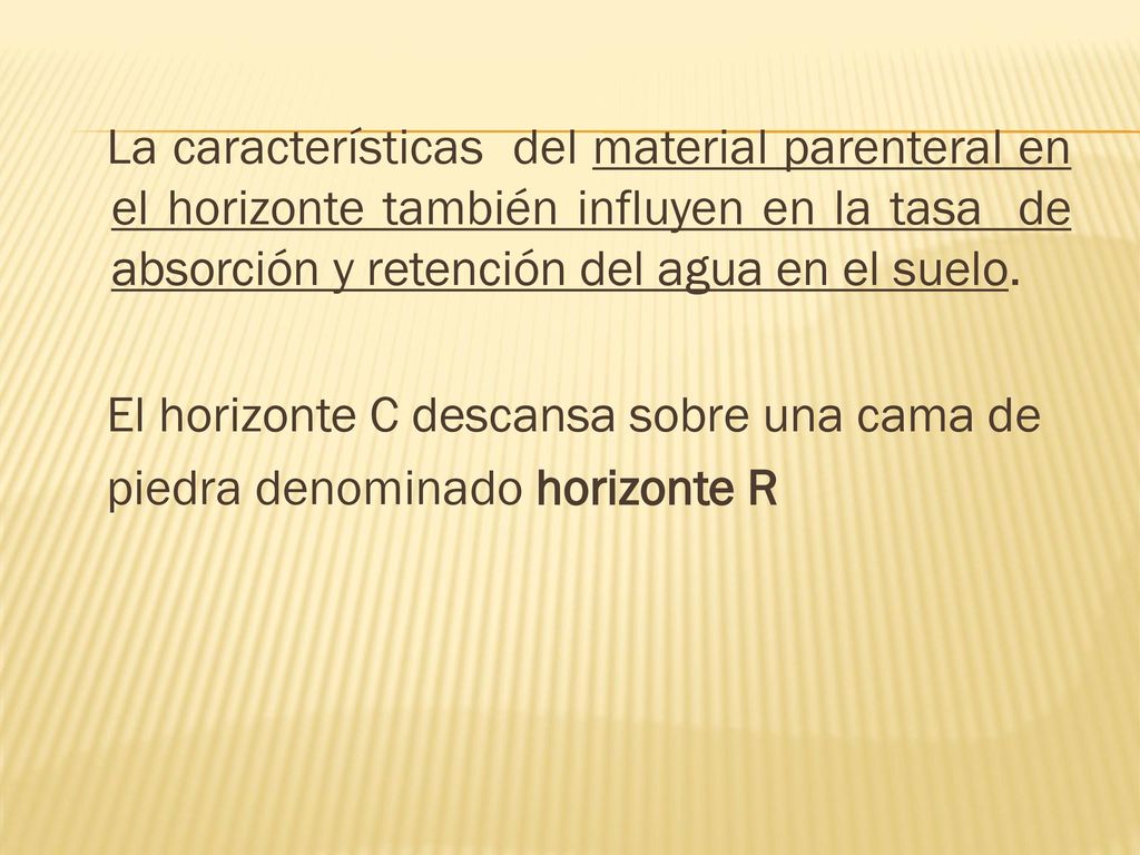La características del material parenteral en el horizonte también influyen en la tasa de absorción y retención del agua en el suelo.