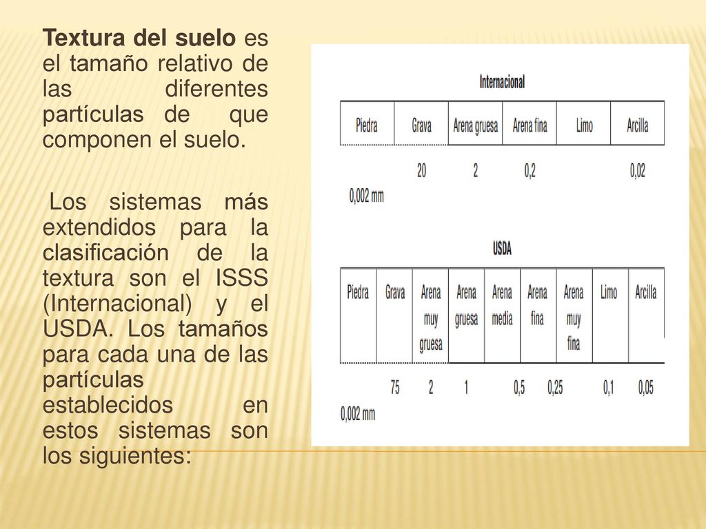 Textura del suelo es el tamaño relativo de las diferentes partículas de que componen el suelo.