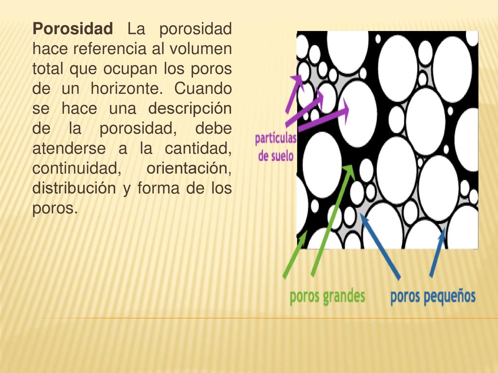 Porosidad La porosidad hace referencia al volumen total que ocupan los poros de un horizonte.