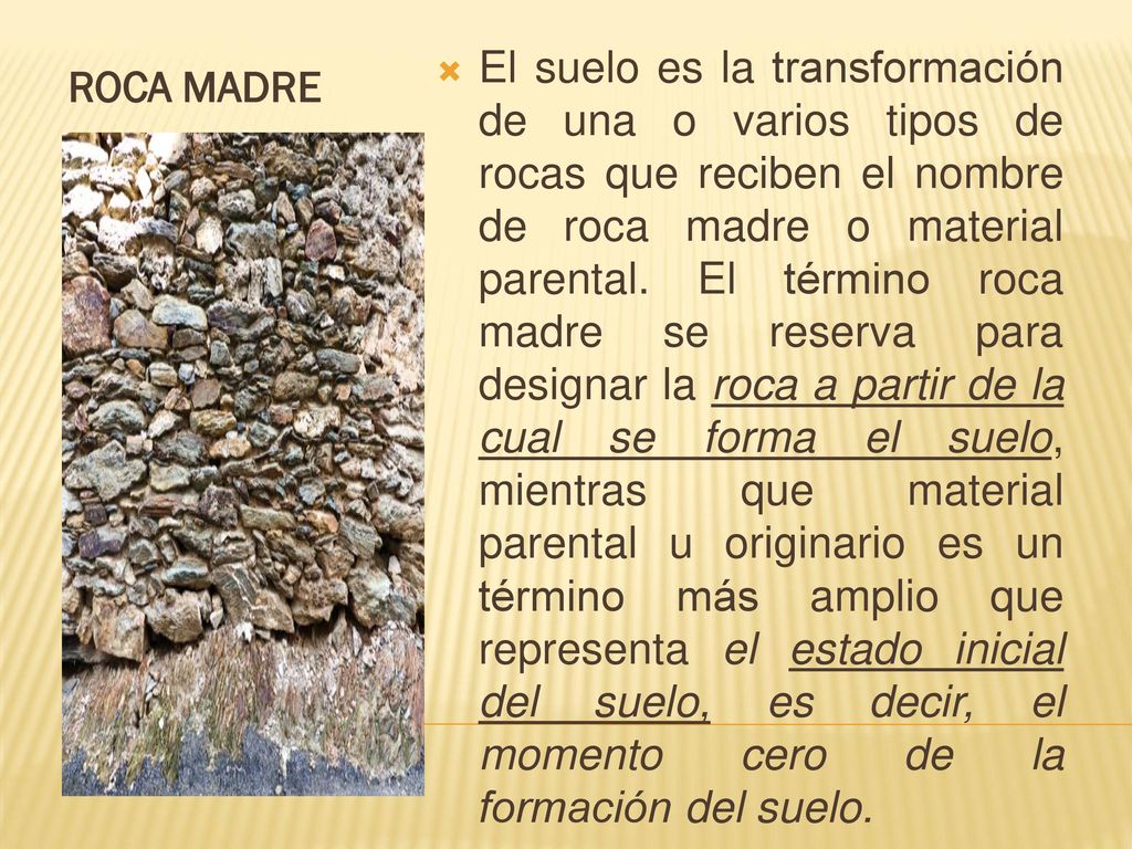 El suelo es la transformación de una o varios tipos de rocas que reciben el nombre de roca madre o material parental. El término roca madre se reserva para designar la roca a partir de la cual se forma el suelo, mientras que material parental u originario es un término más amplio que representa el estado inicial del suelo, es decir, el momento cero de la formación del suelo.