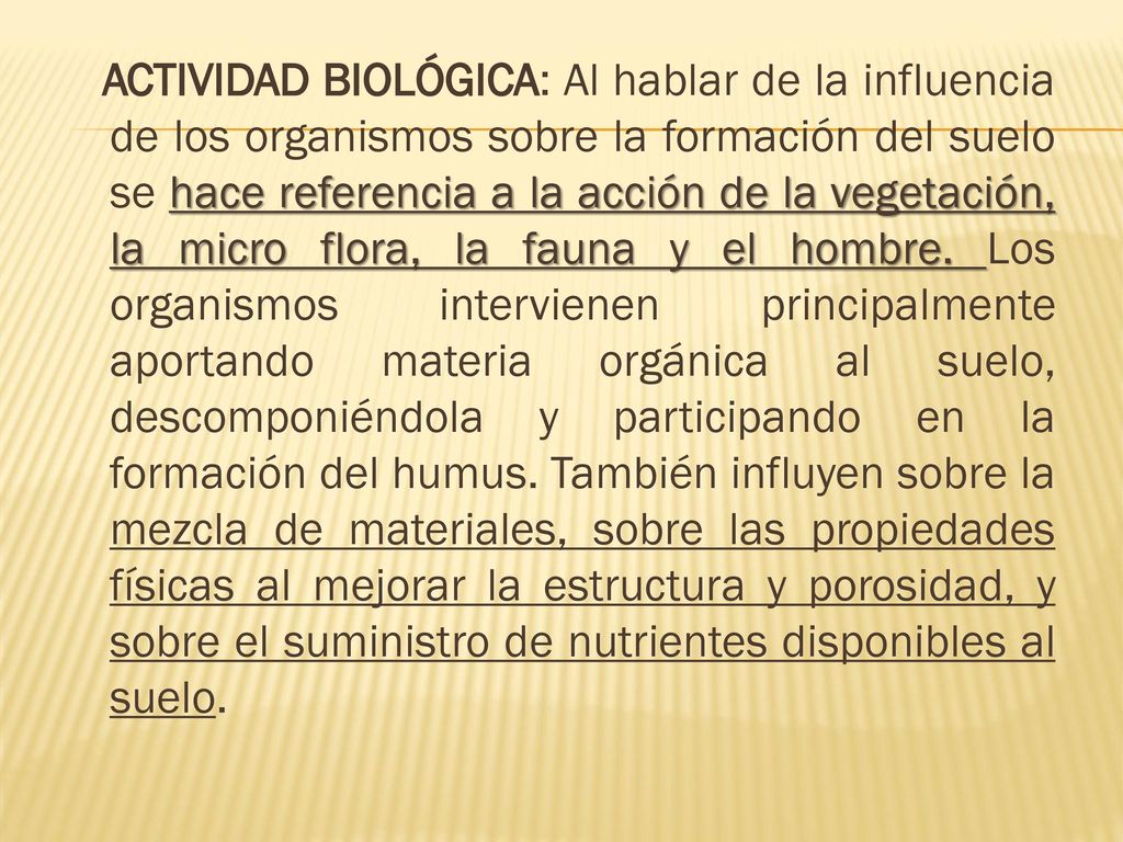 ACTIVIDAD BIOLÓGICA: Al hablar de la influencia de los organismos sobre la formación del suelo se hace referencia a la acción de la vegetación, la micro flora, la fauna y el hombre.