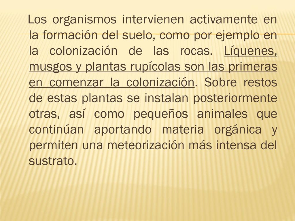 Los organismos intervienen activamente en la formación del suelo, como por ejemplo en la colonización de las rocas.
