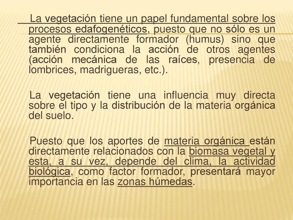 La vegetación tiene un papel fundamental sobre los procesos edafogenéticos, puesto que no sólo es un agente directamente formador (humus) sino que también condiciona la acción de otros agentes (acción mecánica de las raíces, presencia de lombrices, madrigueras, etc.).