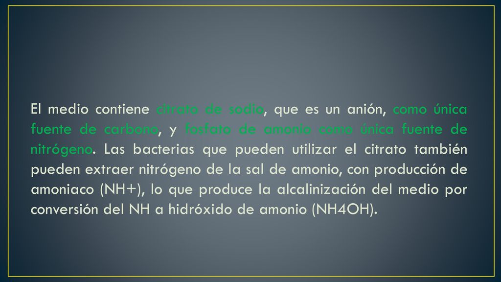 El medio contiene citrato de sodio, que es un anión, como única fuente de carbono, y fosfato de amonio como única fuente de nitrógeno.
