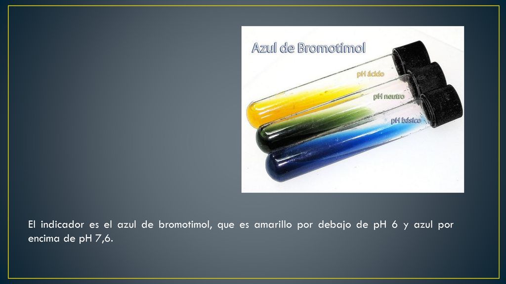 El indicador es el azul de bromotimol, que es amarillo por debajo de pH 6 y azul por encima de pH 7,6.