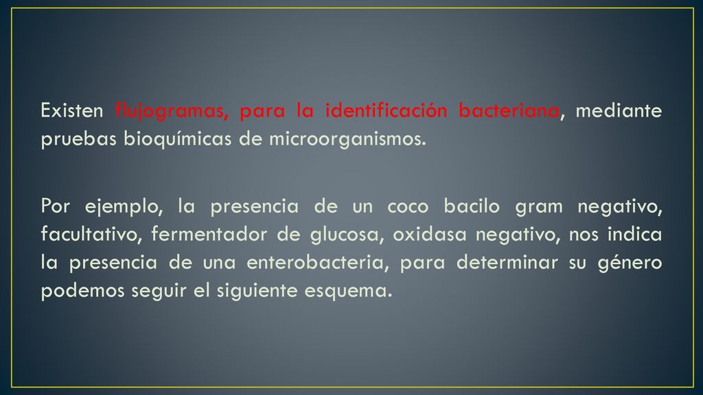 Existen flujogramas, para la identificación bacteriana, mediante pruebas bioquímicas de microorganismos.