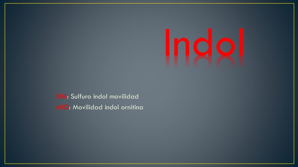 Indol SIM: Sulfuro indol movilidad MIO: Movilidad indol ornitina