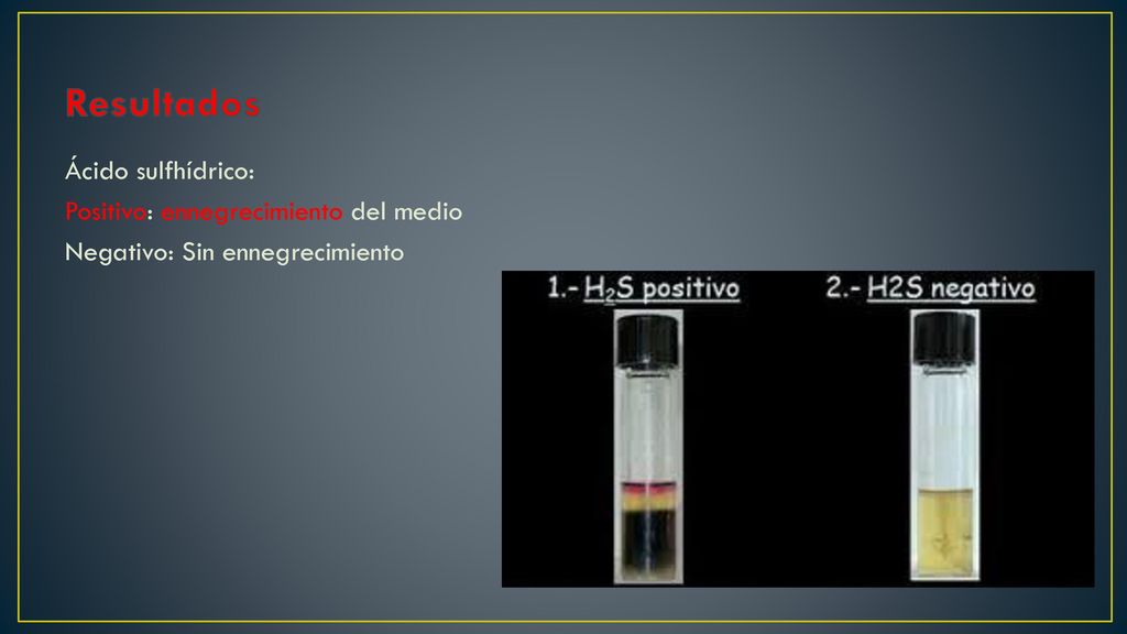 Resultados Ácido sulfhídrico: Positivo: ennegrecimiento del medio Negativo: Sin ennegrecimiento