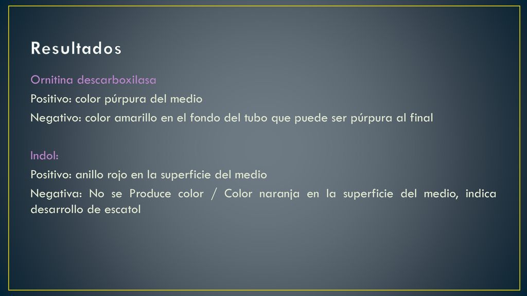 Resultados Ornitina descarboxilasa Positivo: color púrpura del medio