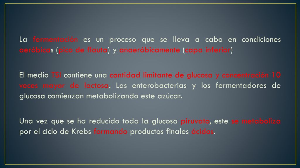 La fermentación es un proceso que se lleva a cabo en condiciones aeróbicas (pico de flauta) y anaeróbicamente (capa inferior) El medio TSI contiene una cantidad limitante de glucosa y concentración 10 veces mayor de lactosa.