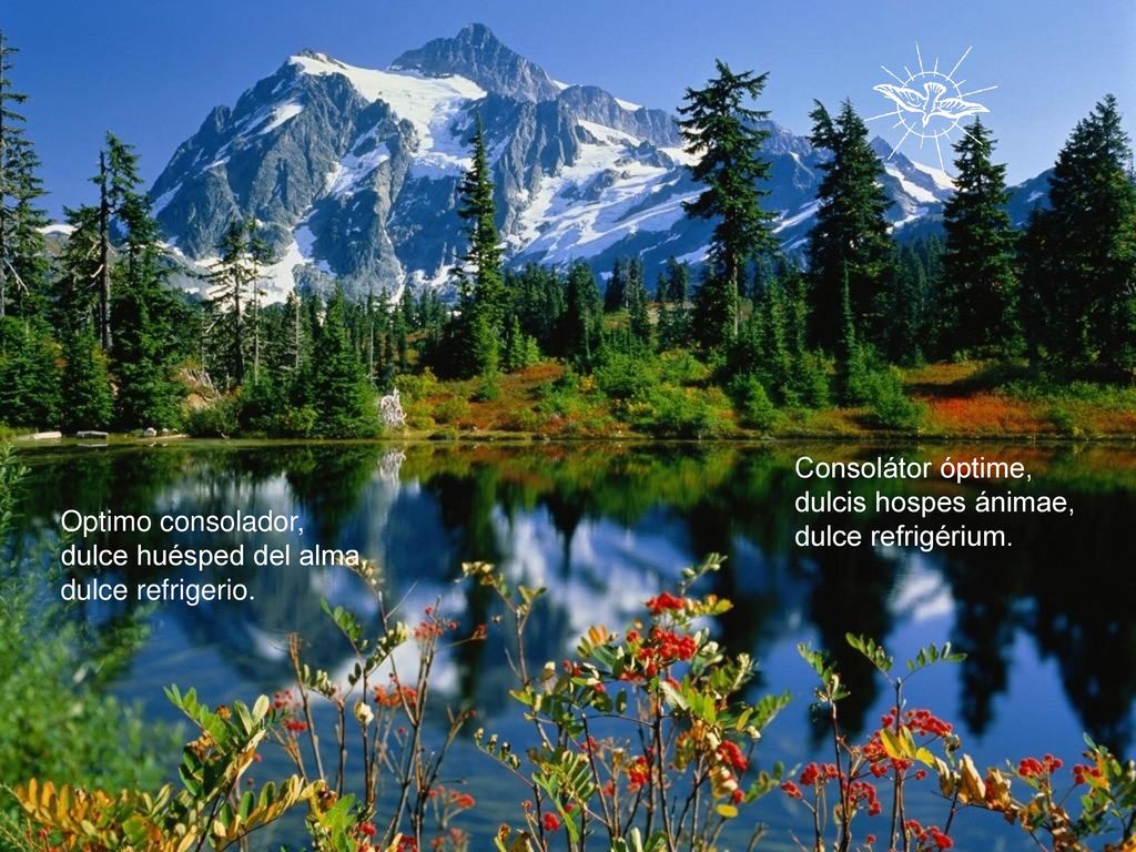 Consolátor óptime, dulcis hospes ánimae, dulce refrigérium. Optimo consolador, dulce huésped del alma,