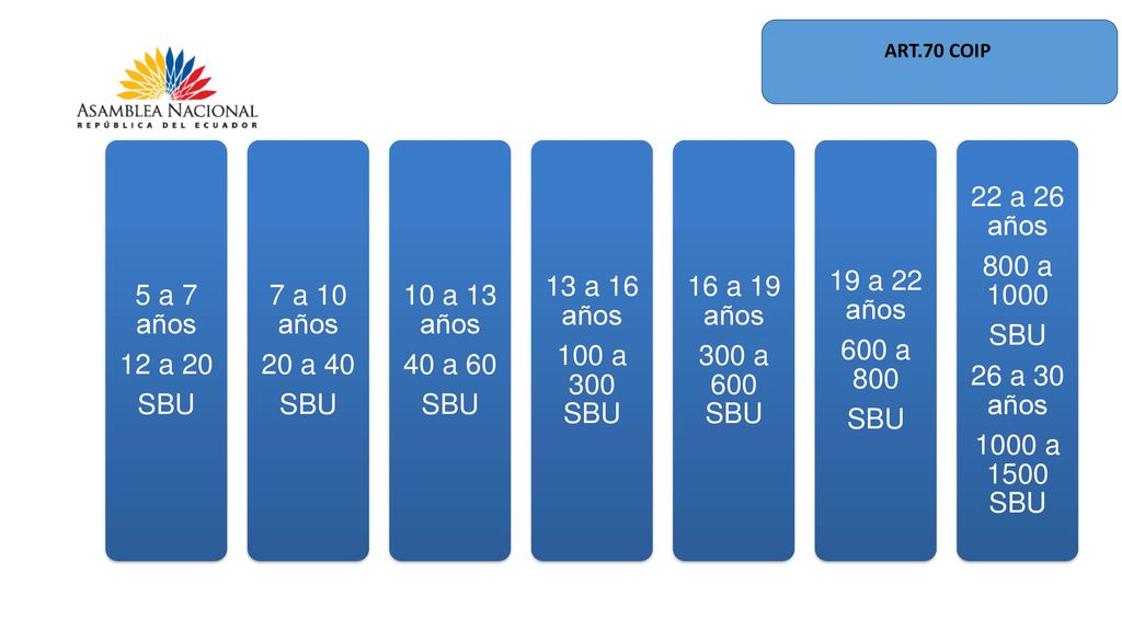5 a 7 años 12 a 20 SBU 7 a 10 años 20 a a 13 años 40 a 60