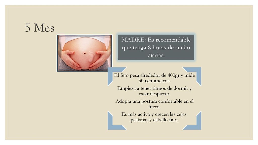 5 Mes MADRE: Es recomendable que tenga 8 horas de sueño diarias.