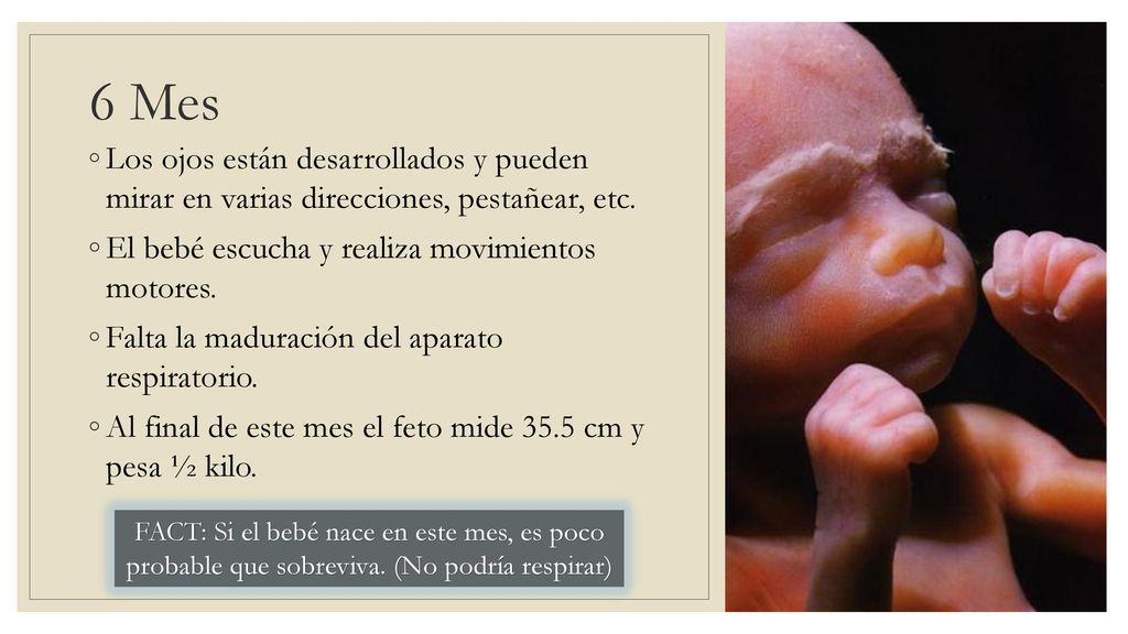 6 Mes Los ojos están desarrollados y pueden mirar en varias direcciones, pestañear, etc. El bebé escucha y realiza movimientos motores.