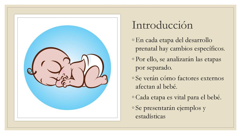 Introducción En cada etapa del desarrollo prenatal hay cambios específicos. Por ello, se analizarán las etapas por separado.