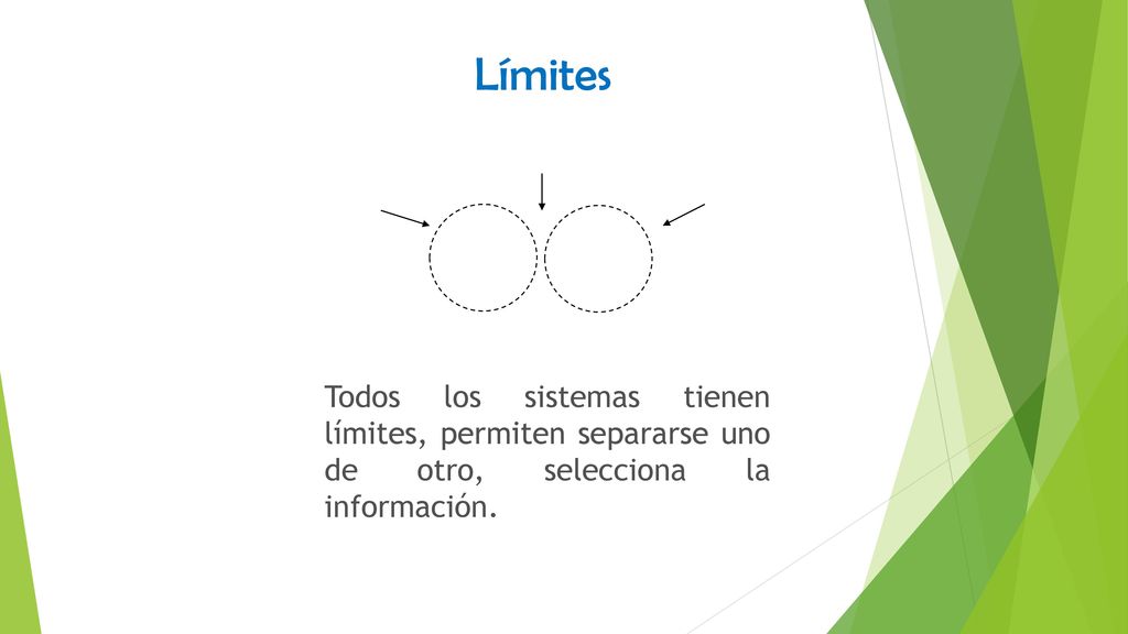 Límites Todos los sistemas tienen límites, permiten separarse uno de otro, selecciona la información.