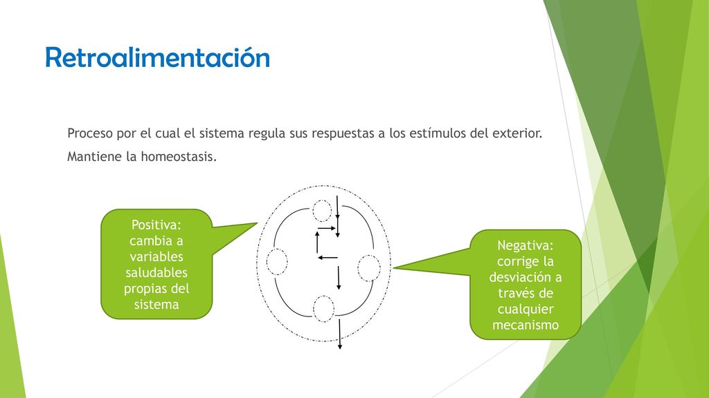 Retroalimentación Proceso por el cual el sistema regula sus respuestas a los estímulos del exterior. Mantiene la homeostasis.