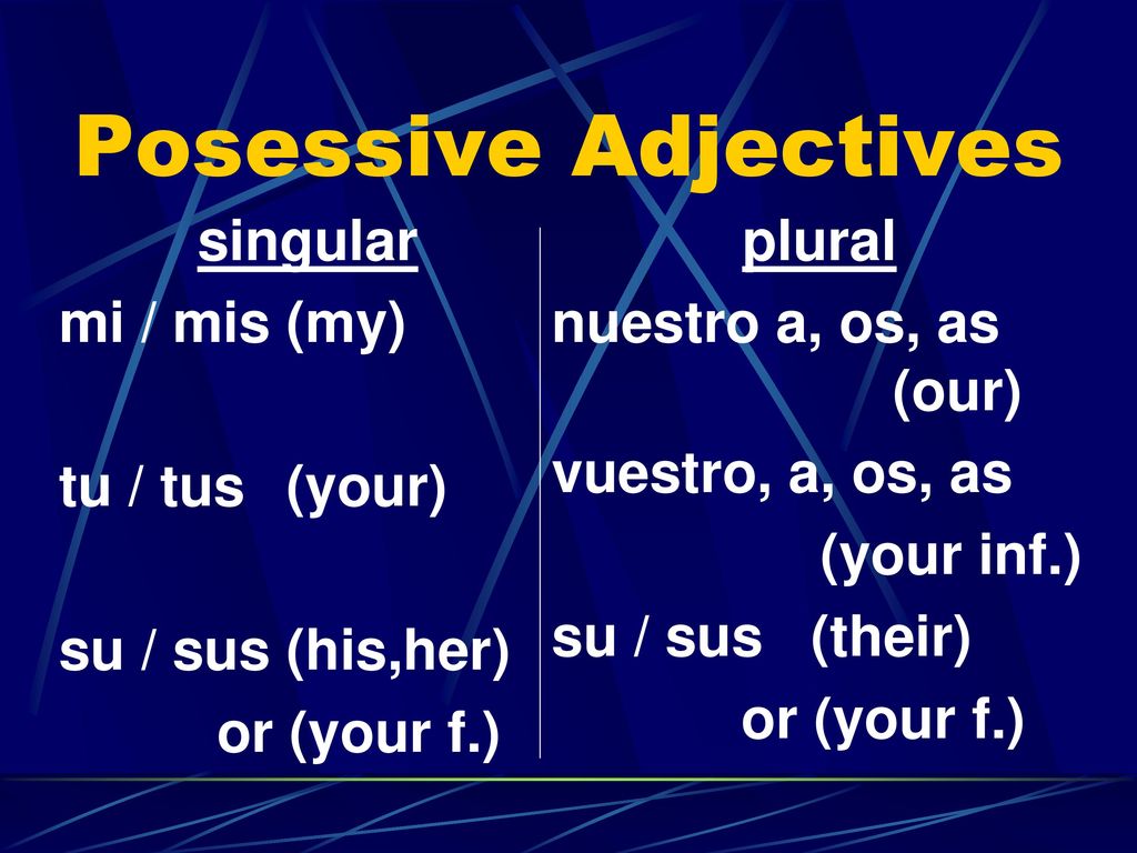 Posessive Adjectives singular mi / mis (my) tu / tus (your)