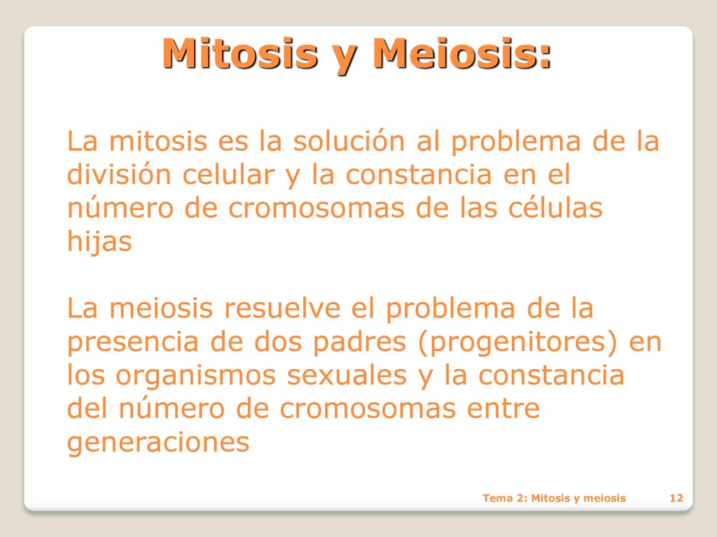 Mitosis y Meiosis: La mitosis es la solución al problema de la división celular y la constancia en el número de cromosomas de las células hijas.