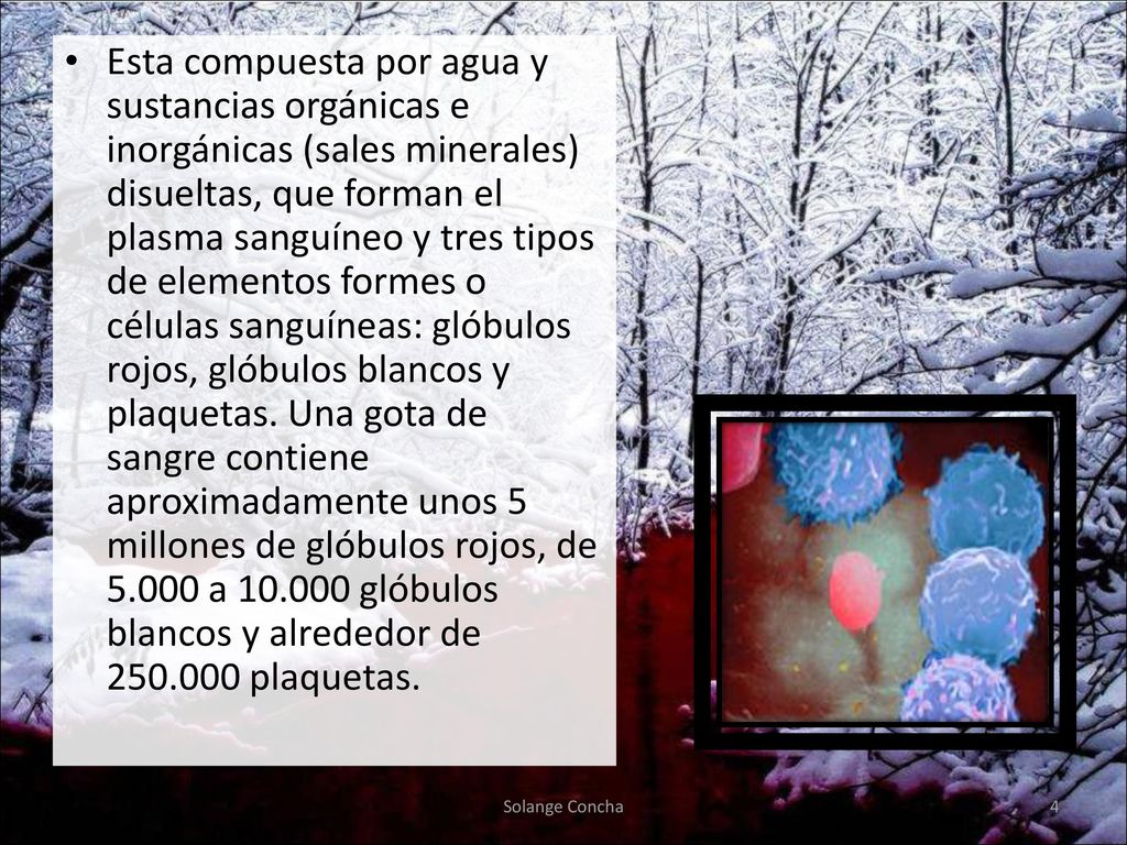 Esta compuesta por agua y sustancias orgánicas e inorgánicas (sales minerales) disueltas, que forman el plasma sanguíneo y tres tipos de elementos formes o células sanguíneas: glóbulos rojos, glóbulos blancos y plaquetas. Una gota de sangre contiene aproximadamente unos 5 millones de glóbulos rojos, de a glóbulos blancos y alrededor de plaquetas.