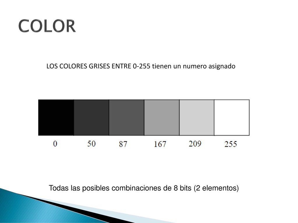 COLOR LOS COLORES GRISES ENTRE tienen un numero asignado