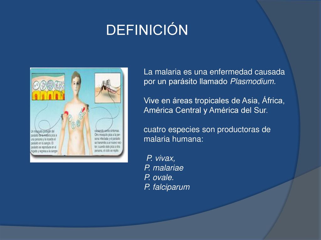 DEFINICIÓN La malaria es una enfermedad causada por un parásito llamado Plasmodium.