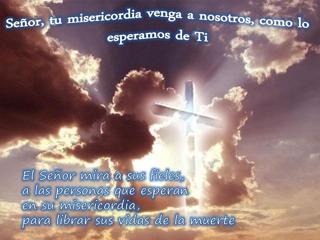 Señor, tu misericordia venga a nosotros, como lo esperamos de Ti