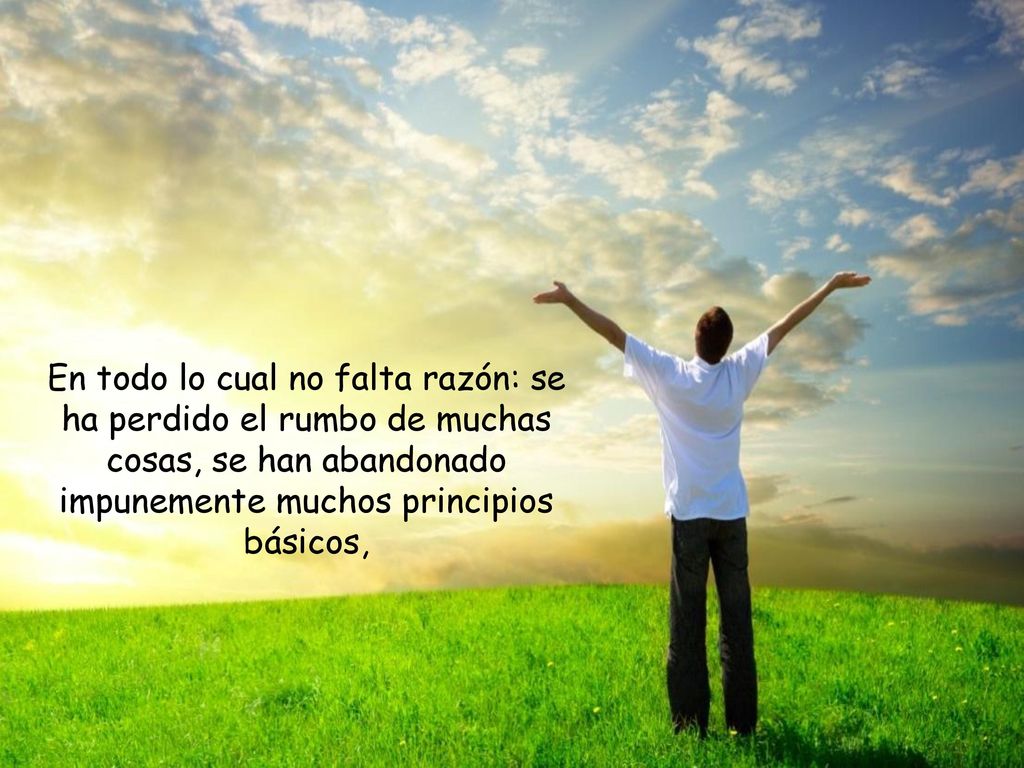 En todo lo cual no falta razón: se ha perdido el rumbo de muchas cosas, se han abandonado impunemente muchos principios básicos,
