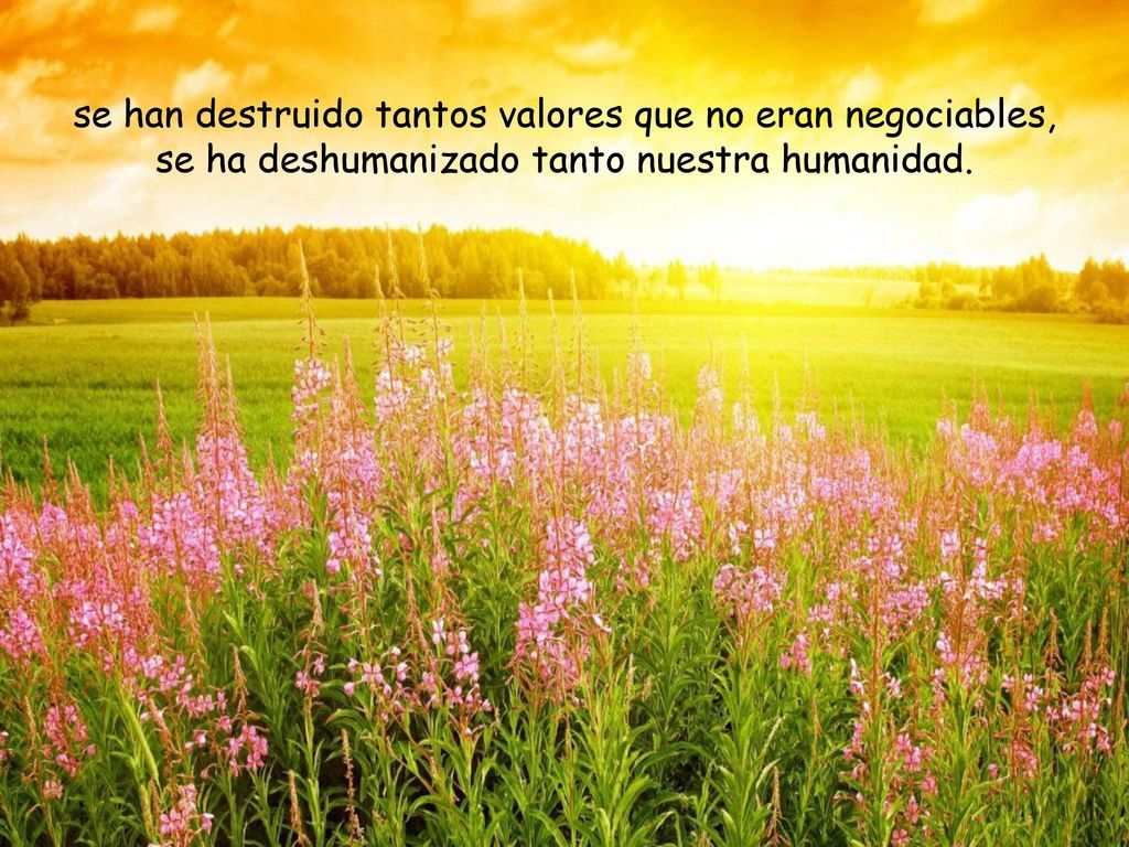 se han destruido tantos valores que no eran negociables, se ha deshumanizado tanto nuestra humanidad.
