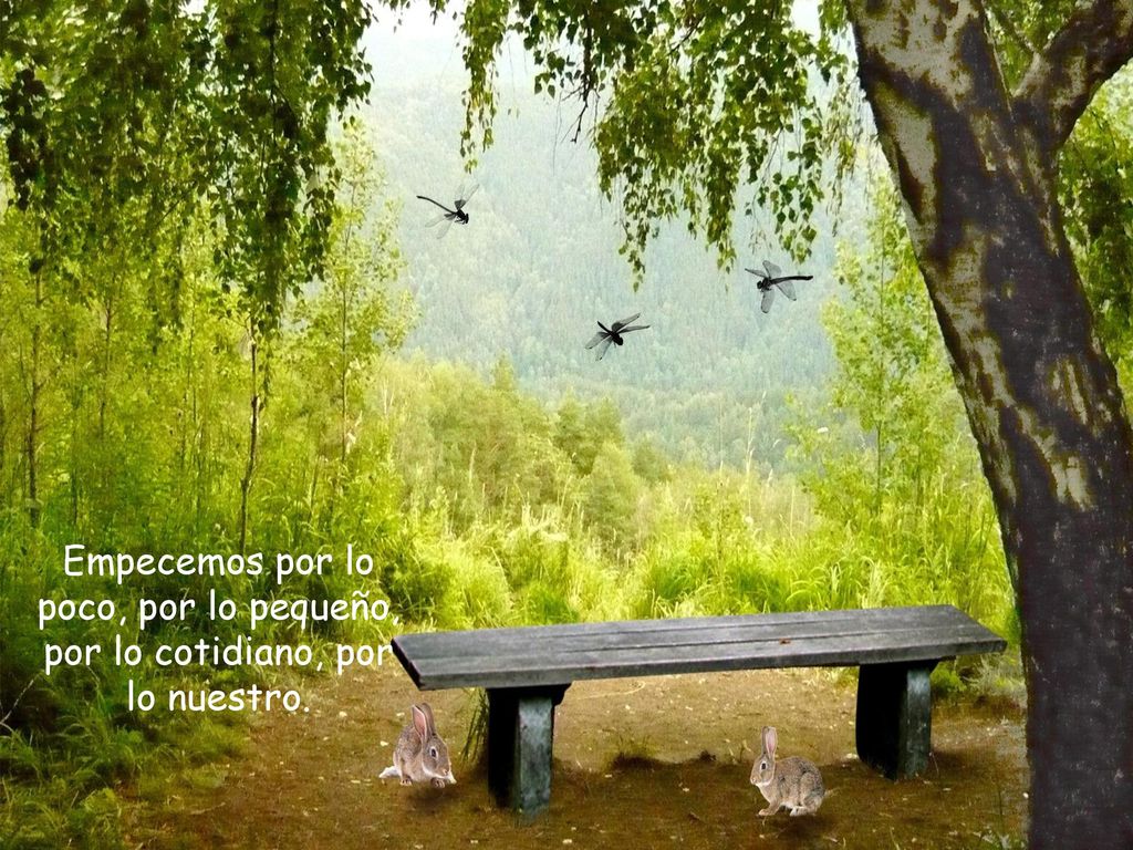 Empecemos por lo poco, por lo pequeño, por lo cotidiano, por lo nuestro.