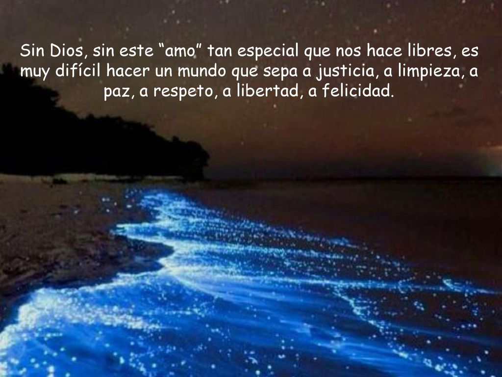 Sin Dios, sin este amo tan especial que nos hace libres, es muy difícil hacer un mundo que sepa a justicia, a limpieza, a paz, a respeto, a libertad, a felicidad.