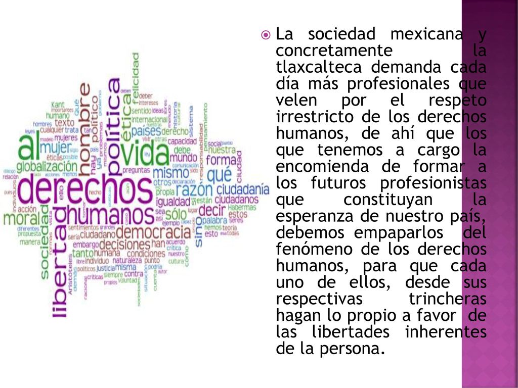 La sociedad mexicana y concretamente la tlaxcalteca demanda cada día más profesionales que velen por el respeto irrestricto de los derechos humanos, de ahí que los que tenemos a cargo la encomienda de formar a los futuros profesionistas que constituyan la esperanza de nuestro país, debemos empaparlos del fenómeno de los derechos humanos, para que cada uno de ellos, desde sus respectivas trincheras hagan lo propio a favor de las libertades inherentes de la persona.