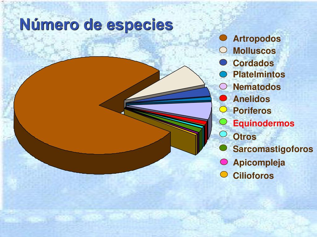 Número de especies Artropodos Molluscos Cordados Platelmintos