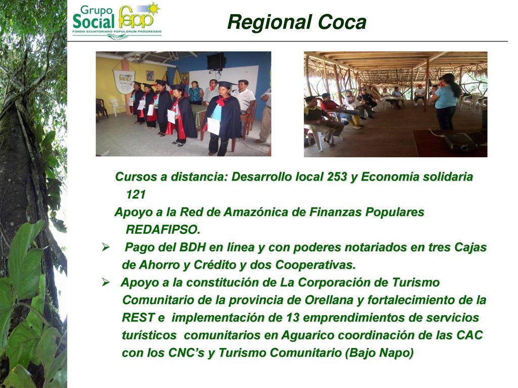 Regional Coca Cursos a distancia: Desarrollo local 253 y Economía solidaria Apoyo a la Red de Amazónica de Finanzas Populares.