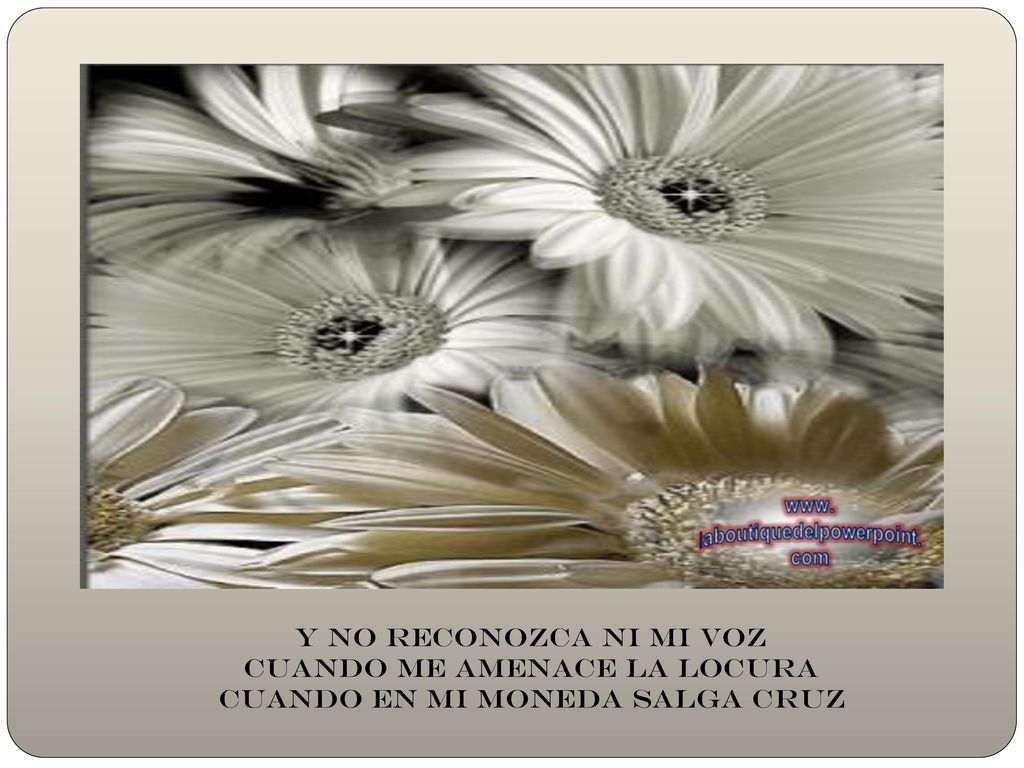y no reconozca ni mi voz Cuando me amenace la locura Cuando en mi moneda salga cruz
