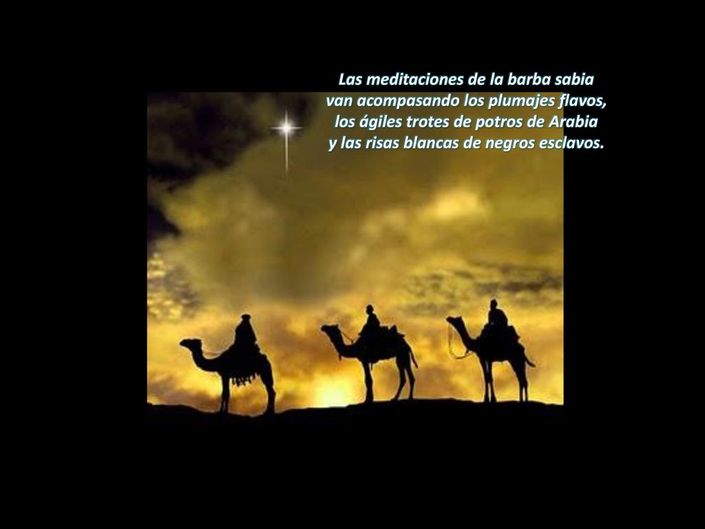 Las meditaciones de la barba sabia van acompasando los plumajes flavos, los ágiles trotes de potros de Arabia y las risas blancas de negros esclavos.