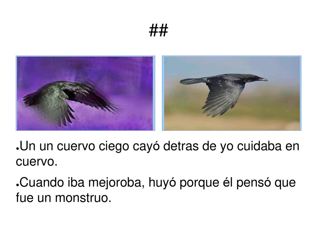 ## Un un cuervo ciego cayó detras de yo cuidaba en cuervo.