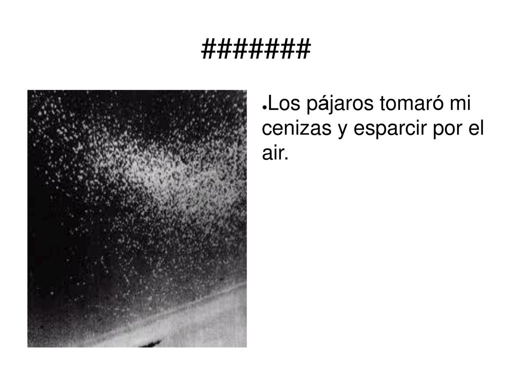 ####### Los pájaros tomaró mi cenizas y esparcir por el air.
