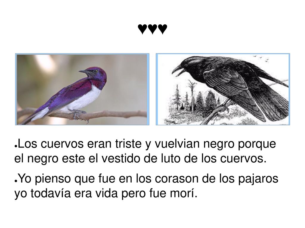 ♥♥♥ Los cuervos eran triste y vuelvian negro porque el negro este el vestido de luto de los cuervos.