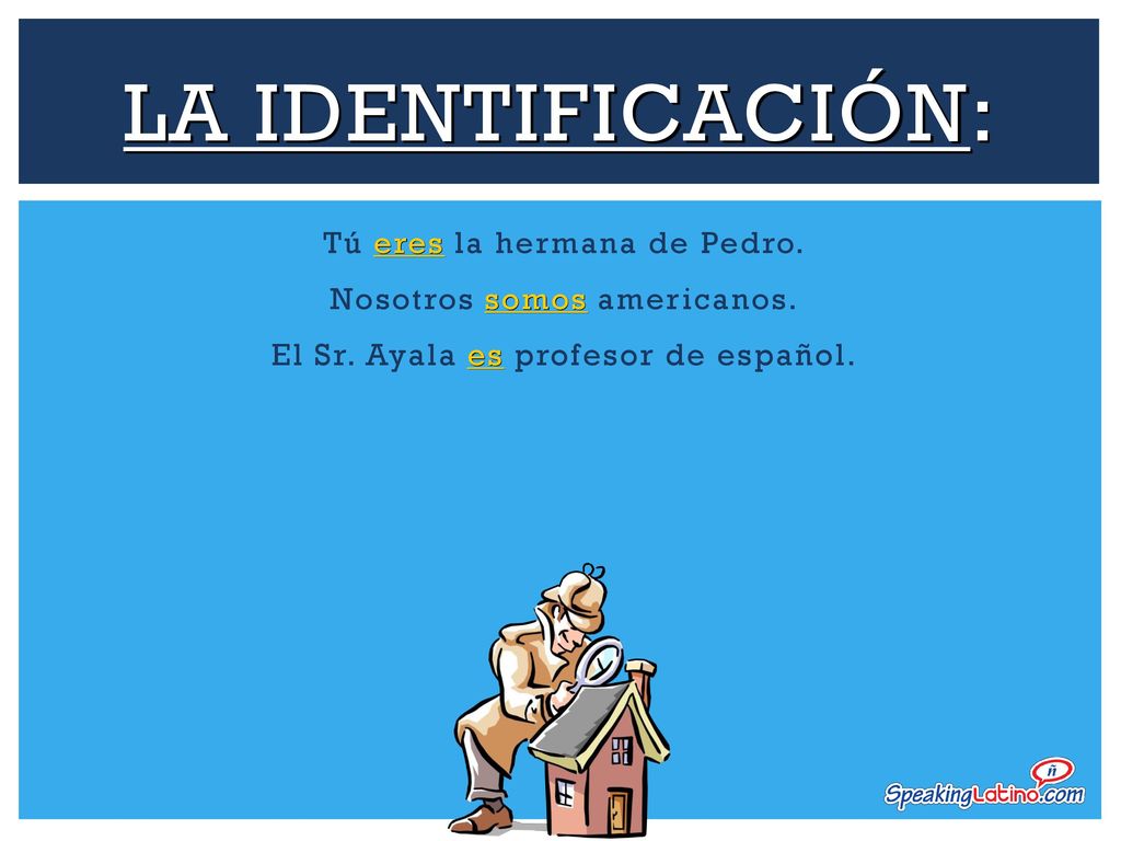 La Identificación: Tú eres la hermana de Pedro. Nosotros somos americanos.