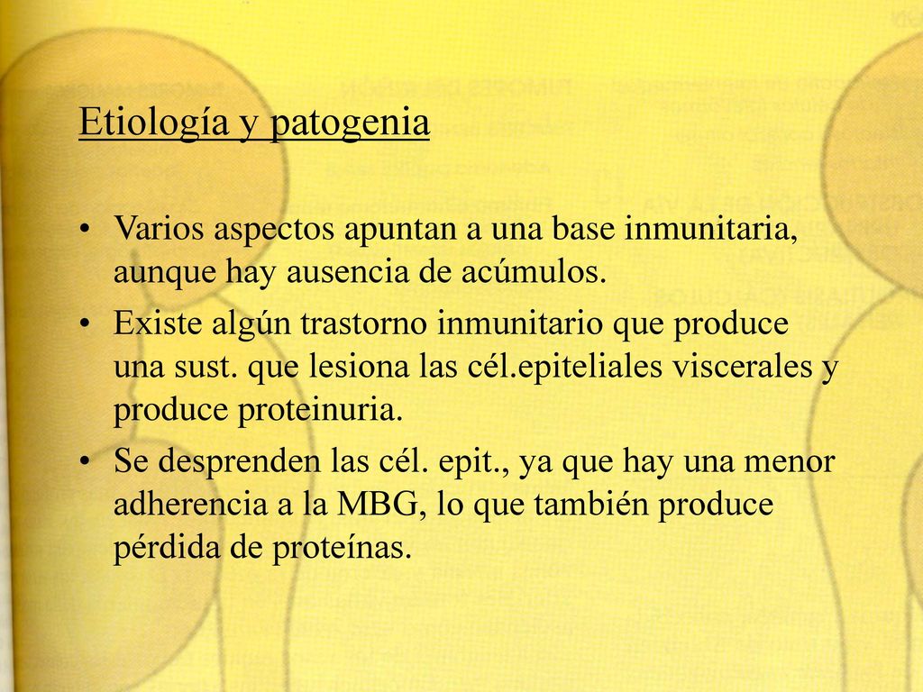 Etiología y patogenia Varios aspectos apuntan a una base inmunitaria, aunque hay ausencia de acúmulos.