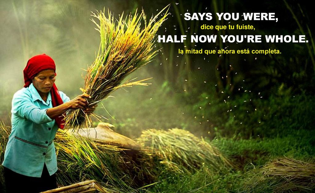 SAYS YOU WERE, HALF NOW YOU RE WHOLE. dice que tu fuiste,