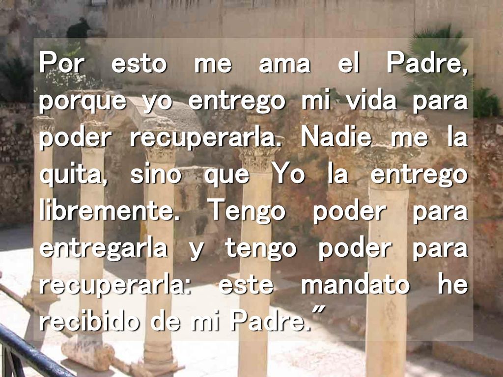 Por esto me ama el Padre, porque yo entrego mi vida para poder recuperarla.
